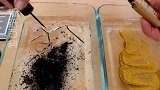 玩转无硼砂系列混泥，黑色与金色，你更喜欢哪一个