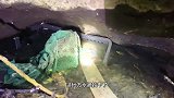 小小洞里，藏了好多的鱼！