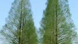 好想和你就这么一直走下去