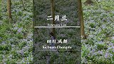 成都周边冷门看花拍照的地方