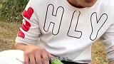 搞笑短剧兔子与狗大赛，结果鹿死谁手最后下锅了
