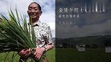 3分钟回顾送别袁隆平感人瞬间 女子从田里拔来杂交水稻悼念