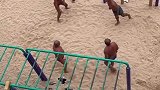 大爷海滩玩顶球，好像是杂技团的黑海豹