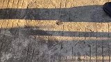 奶嘴不见了，突然发现在爷爷的拐杖上