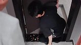 把60万的文玩核桃吃了，是什么体验？
