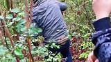 祖宗下落不明，男子上山披荆斩棘一路寻踪