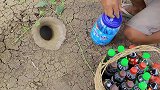 饮料一瓶瓶的灌进泥洞，鱼儿像喷泉一样涌出来太开心了