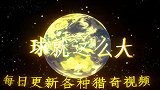 空间站外星生命？宇航员从太空带回3种外星生物，水熊虫都得服气