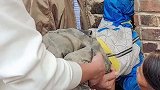 男孩头卡墙缝，消防紧急砸墙救援