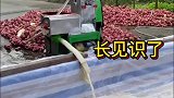 红薯制作的粉条，长见识了
