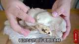 揭秘饭店炸蘑菇做法：只用面粉还不够，掌握黄金比例，酥脆不油腻