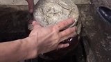 10年的窖藏酒，还没打开呢，感觉屋里都是香气！