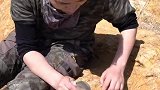 近日，一网友荒野求生 取火烧火方式让人新奇。户外