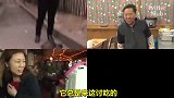 【韩综】韩国一户人家每天到了晚上7点，都会有一只流浪猫来敲门