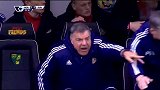 英超-1617赛季-阿勒代斯成水晶宫主帅热门人选-新闻