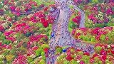 春天到了，这份4月旅行清单送给你们！