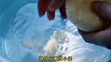 给宝宝炖鸡汤多加两样，汤鲜味美，增强宝宝抗病能力，养护肠道！