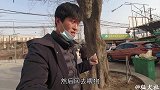 价值30000块的马犬，攻击性强见人就咬，只好送去狗肉车！