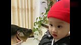 小萌娃面对张嘴的鱼不知所措，求宝宝心理阴影面积