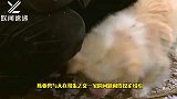 大衣哥文化账号发文七问陈亚男字字珠玑，俩人之间到底谁更委屈