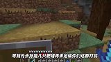 我的世界：铁傀儡有隐藏技能？竟然当众向我献花表白！(1)