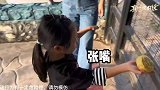 河马吃个饭差点卡死了