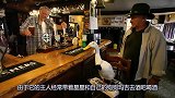 英国一只奇葩鸭子，喝酒后找狗狗单挑，结果一举成名