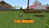 我的世界联机117：引诱小熊猫回家，过程有点哭笑不得