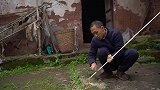 管子哥捡竹笋壳帮柚子烧火做美食，一点就着，农村引火利器