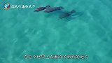 世界上最危险的海，透明度达到72米，过往的船却有去无回