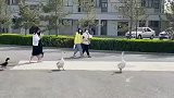 没有学生证的大鹅，在询问保安大哥出门往哪里走！