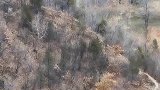 大山上藏着一住宅70岁老人独居其中，与世无争，每天砍柴为生！