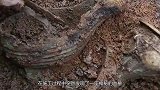 施工队挖出2口巨棺，里面有北斗七星图，旁边有一块“瑞士手表”