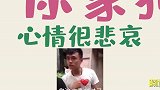 宠物的那些奇葩造型，摊上这样的主人，狗狗也是很无奈