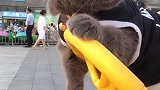 不玩了我儿哎