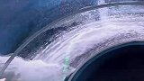 遇到海底世界换水，海豹玩起滑滑梯