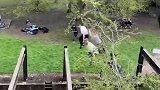 哥几个在护栏上跳跃，其中一人不慎掉入水中！