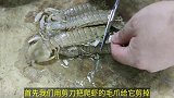 大厨教你爬虾最下饭做法，从处理到制作满满的都是小技巧，真牛