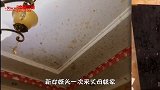 搞笑视频：新女婿头一回上门 崩得满屋子都是