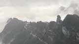 我畏惧寒风却偏爱下雪，我害怕喝酒却喜欢喝醉的感觉。