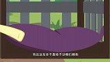 小马宝莉：小动物的诊所毁了，心疼死柔柔了，还得重新建一个