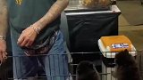 男子在宠物店准备领养宠物，聪明的小狗狗跳起来求领养