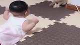 这个小祖宗一回家，结果家里的猫就成这样，咱也不说，咱也不敢问