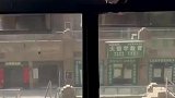 男子养了一只八哥，隔三差五就从外面叼钱回来