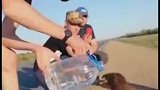 饥渴难耐的老鹰，无奈只能向路人讨水喝