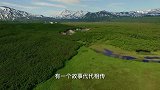 堪察加熊–生命启程