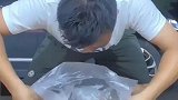 这个炒鸡应该特好吃吧