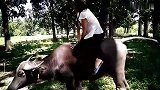 国外沙雕集锦：看我绝地飞毛腿