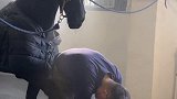 小黑马能有什么坏心眼呢飓风呀 马