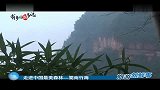 旅游-走进中国最美森林